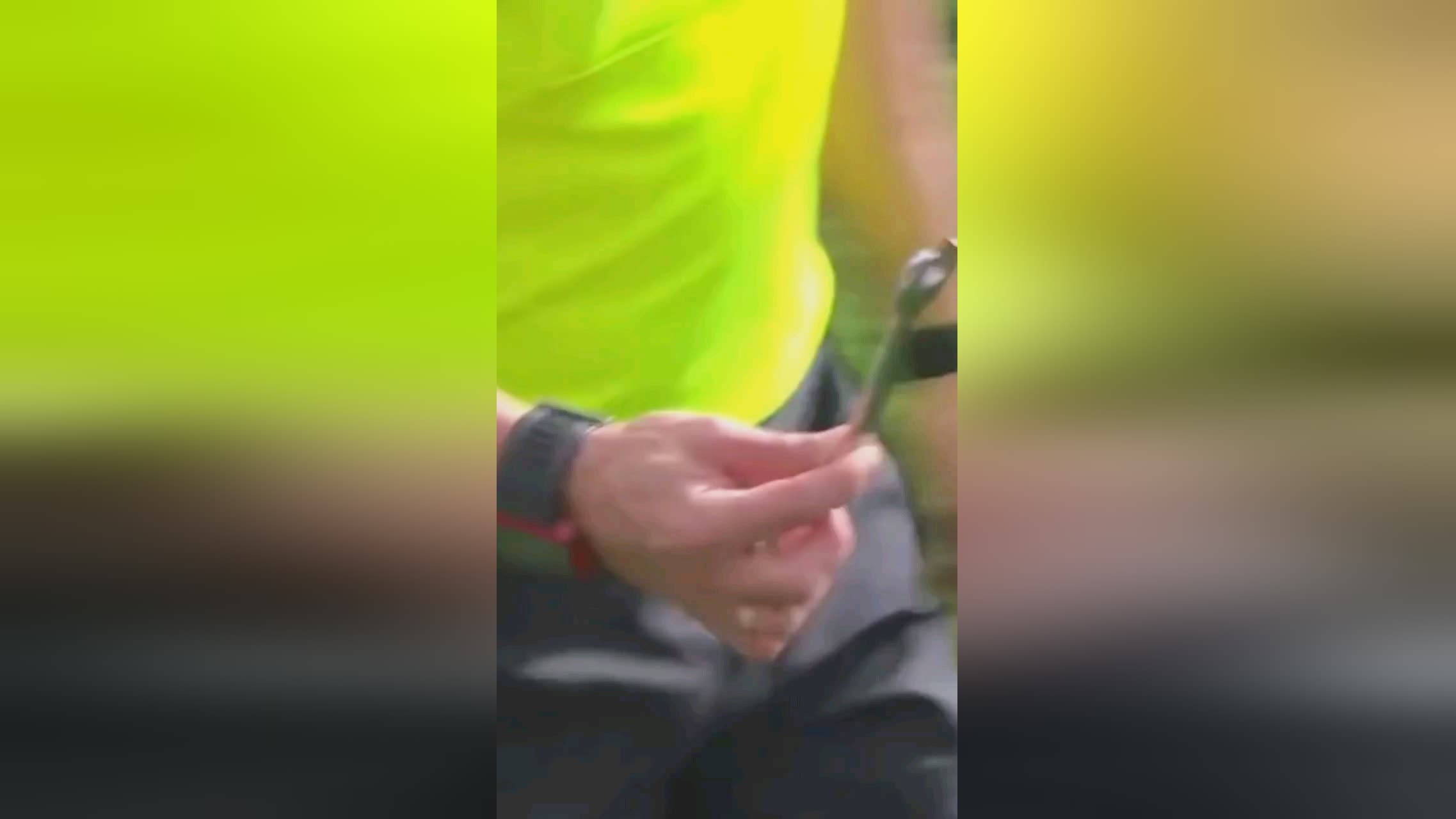 许尔策勒强